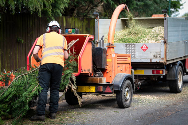 Best Lawn Drainage Solutions  in Decatur, GA